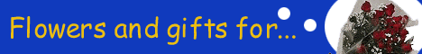 Net Florist 2